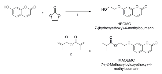 MAOEMC의 합성: (1) Potassium carbonate, DMF, 100 ℃, 24 h; (2) DMAP (4-Dimethylaminopyridine), DCM, 3 h