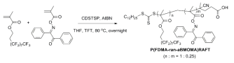 P(FDMA-ran-α-BMOMA)RAFT 고분자 중합 scheme