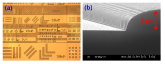 Si wafer 상부 P(FOMA-αBMOMA-IBMA) 패턴박막의 (a) optical image, (b) scanning electron microscope image