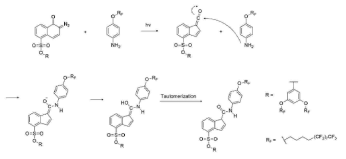 RF-DNQ-benzene과 RF-aniline의 예상 반응 메커니즘