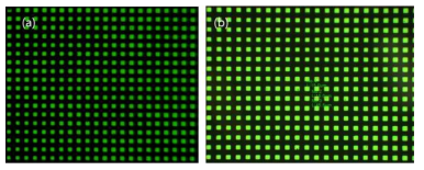 15 µm 급 패턴 화소 발광 사진 자체평가 이미지(a) 외부평가 이미지 (b)