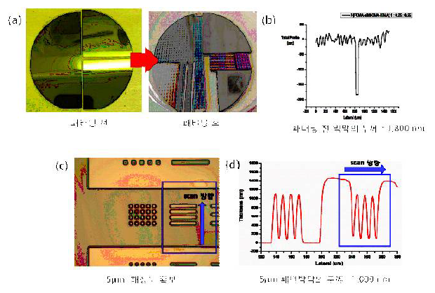 4 “ Si wafer 전면에 P(FOMA-αBMOMA-IBMA) 코팅 후 확보한 5 μm 패턴 이미지