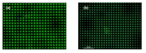 12 μm 급 발광이미지 (a) 자체평가 (b) 외부기관 측정 이미지