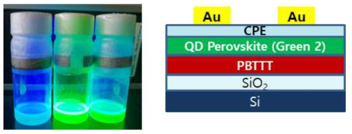 퀀텀 닷 페로브스카이트 소재 및 p형 퀀텀 닷 페로브카이트 발광 트랜지스터의 구조