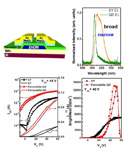 SY 와 QD Perovskite 소재를 도입한 HLET 구조와 전기적·광학적 특성 비교