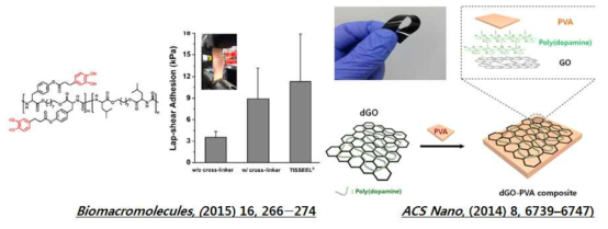 Catechol 첨가로 인한 Poly(ester urea)의 점착특성을 개선시킨 연구 (좌) 와 dopamine 과 PVA첨가를 통한 Graphene oxide 점착특성을 개선 연구 (우)