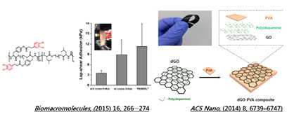 Catechol 첨가로 인한 Poly(ester urea)의 점착특성을 개선시킨 연구 (좌) 와 dopamine 과 PVA첨가를 통한 Graphene oxide 점착특성을 개선 연구 (우)