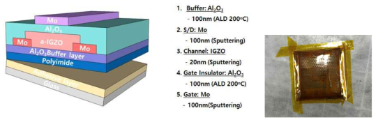 기판위에 제작한 a-IGZO 산화물 박막 트랜지스터 구조 모식도 와 탈착 된 소자의 모습