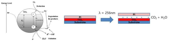 TiOx 의 광반응성에 의한 탈착 mechanism 예상도