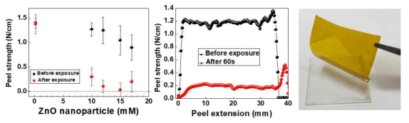 (좌) ZnO 몰농도에 따른 PI peel strength 변화. (중) ZnO 12mM 조건에서의 근자외선 조사 전/후 PI의 peel strength 변화. (우) ZnO 15mM 조건에서 완전히 peel-off 된 PI 샘플 사진