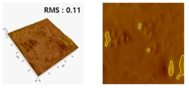 AFM을 이용한 (좌) 탈착 후 glass 표면의 3D mapping을 통한 표면거칠기 분석 및 (우) Tophology를 통한 잔유물 분석 순서