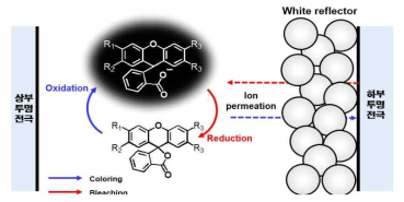 White reflector를 적용한 반사형 ECD