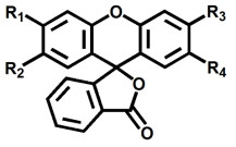 Fluoran 유도체