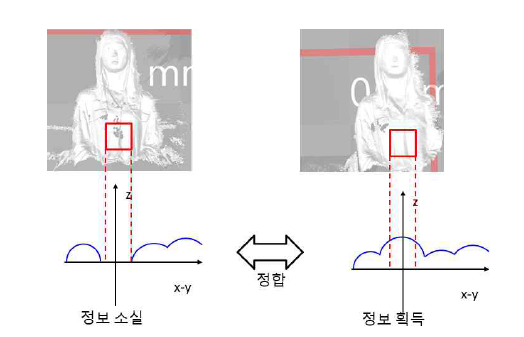 폐색영역 복원 개념도