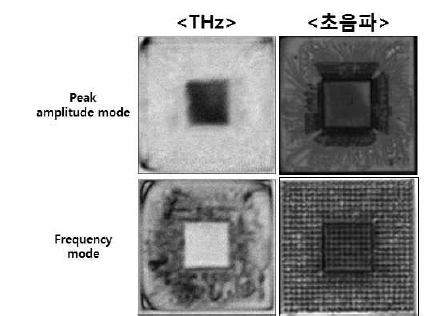 정상 시편의 THz 영상화 결과와 SAT 영상화 결과 비교