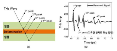(a) 단층 박리가 존재하는 시편, (b) (a)에 대한 테라헤르츠 파 신호