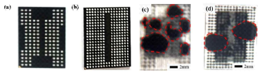 반도체 패키징 시편 : (a) Sample 1, (b) Sample 2. 초음파 이미지 (c) Sample1, (d) Sample2