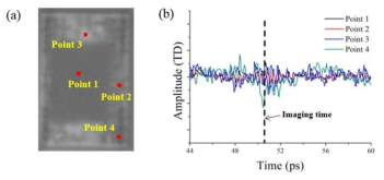 (a) Sample 1 뒷면의 투과모드 이미지 결과, (b) THz 파형
