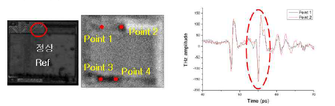 정상 시편의 THz Image(영상) 및 TDS 파형(waveform)