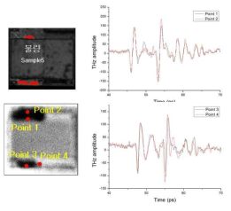 sample5 시편의 THz 이미지 및 TDS 파형