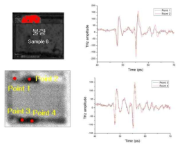 sample6 시편의 THz 이미지 및 TDS 파형