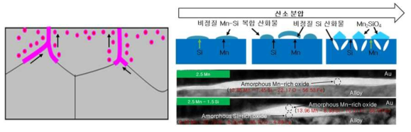 본 연구에서 사용된 소둔전 입계 내부 산화를 통한 Si 입계 확산 억제와(좌도) 소둔 중 산소 분압 증대를 통한 비정질 Si 산화물 저감(우도) 기술