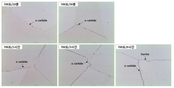 (A815 강) 700도/(10분,30분,1시간,3시간,6시간) 열처리 후 미세조직 (OM)