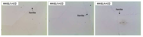 (A815 강) 800도/(1시간,3시간,6시간) 열처리 후 미세조직 (OM)