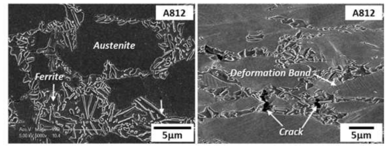 (A812 강) 인장 변형 후 파단면 미세조직 (SEM)