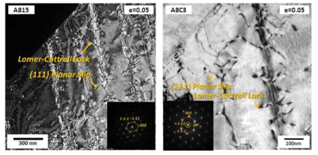 A815, A8C3강의 5% 소성변형 후 austenite 내 변형 거동 분석 (TEM)