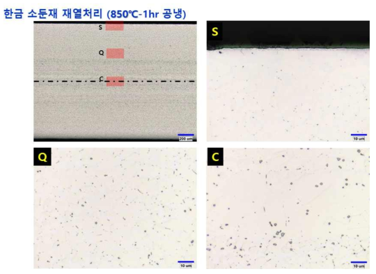 재열처리재 광학조직 분석결과 (850℃, 1시간 유지 후 공냉)