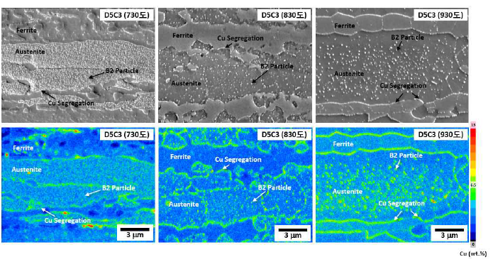 Cu-rich 입자 및 Cu-segregation EPMA 확인 (2차년도)