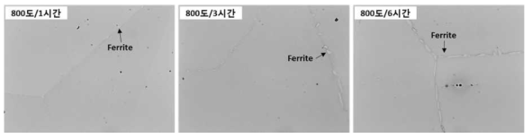 (A815 강) 800도/(1시간,3시간,6시간) 열처리 후 OM 미세조직 (4차년도)