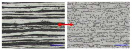 시험생산재의 구상화 열처리 후 조직