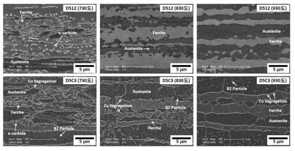 Cu 첨가 및 소둔 온도에 따른 TD면 SEM 미세조직 변화