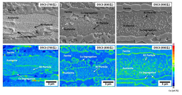 Cu-rich 입자 및 Cu-segregation EPMA 확인