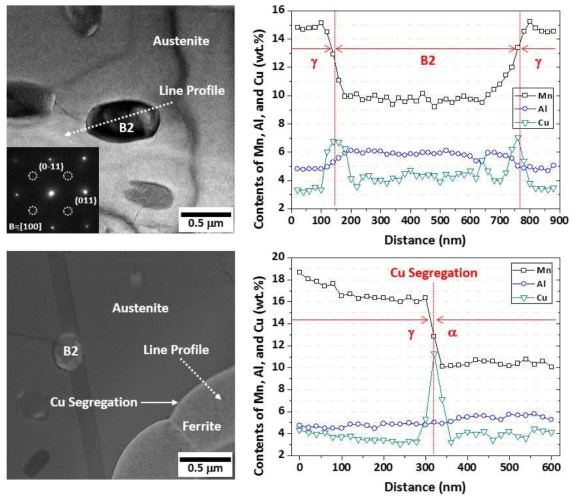 D5C3 강의 Cu-rich Particle 및 Interfacial Cu Segregation TEM 분석