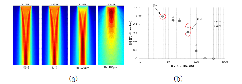 (a)표면 조도에 따른 초음파 전파 특성 (b) 표면 조도에 따른 초음파음압 분포