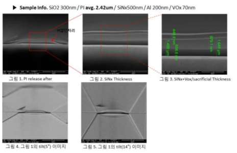 PI release 후 소자 단면 SEM 분석