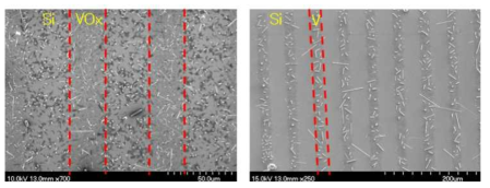 VOx seed layer 위에 성장한 VO2 NW (좌), V seed layer 위에 성장한 VO2 NW(우)
