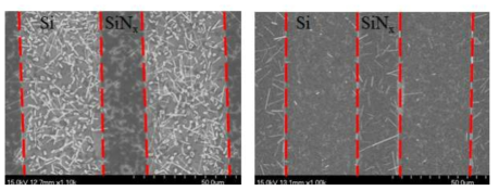Si 위에 성장한 VO2 NW(좌), SiNx 위에 성장한 VO2 NW(우)