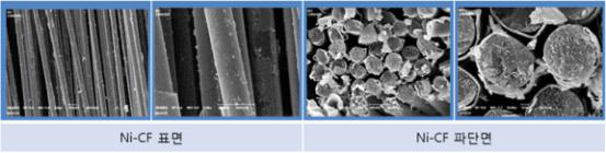 Ni-CF Filler의 SEM 이미지
