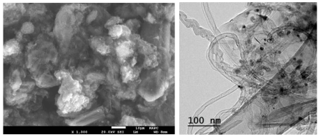 Graphite/CNT hybrid-4 (CNT 17%)의 FE-SEM 및 TEM 관찰 Image