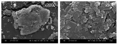 Mg(OH)2 coated Graphite SEM images