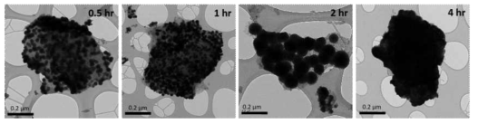 반응 시간에 따른 Ni-coated graphite의 TEM images