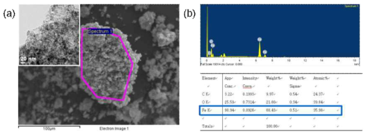 RGO 위에 형성된 Fe3O4 입자의 (a) SEM, Transmission electron microscopy(TEM) 이미지, (b) EDS로 분석한 C, O, Fe 원소의 상대적인 비