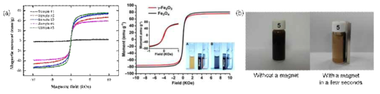 철 전구체 몰비에 따라 제조된 iron oxide/RGO들의 (a) 외부 자기장에 대한 자화 곡선(left), ref. (right), (b) sample 5에 자석을 가까이 대었을 때 생성되는 자기력(인력)을 나타낸 사진 이미지