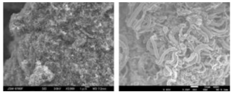 기존 및 신규 CNT 모폴로지 비교 (FE-SEM) (a) Entangle 구조의 CNT (b) Aligned-Bundle 구조의 CNT