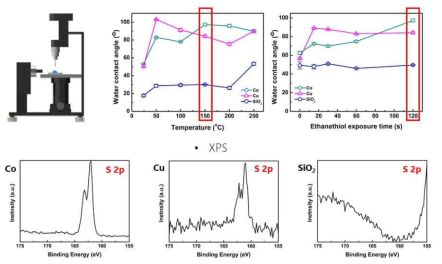 Co, Cu 기판에서의 ET 흡착 공정 최적화