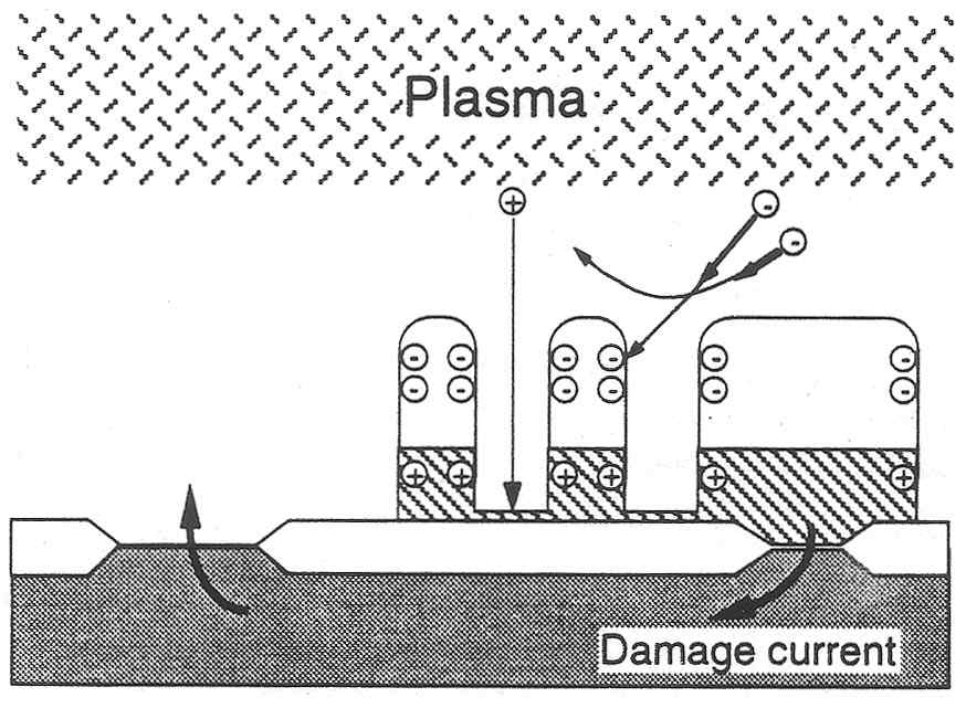 Plasma damage 발생 개략도